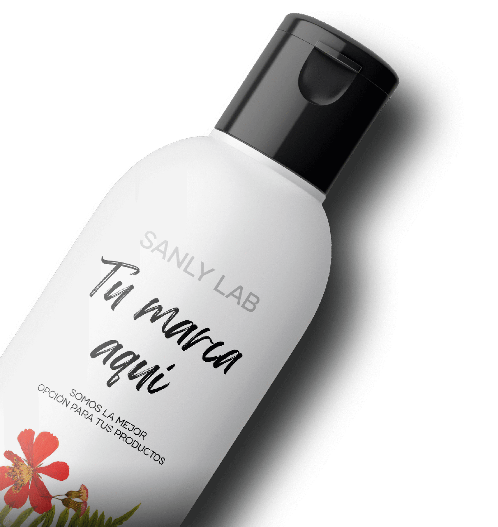 Home - SANLY Laboratorios